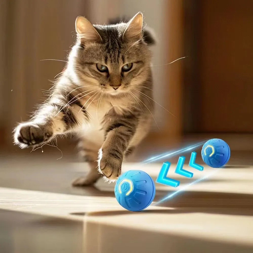 Novo 1pc movimento automático  - Automatic Moving Dog Ball avaliação e preço
