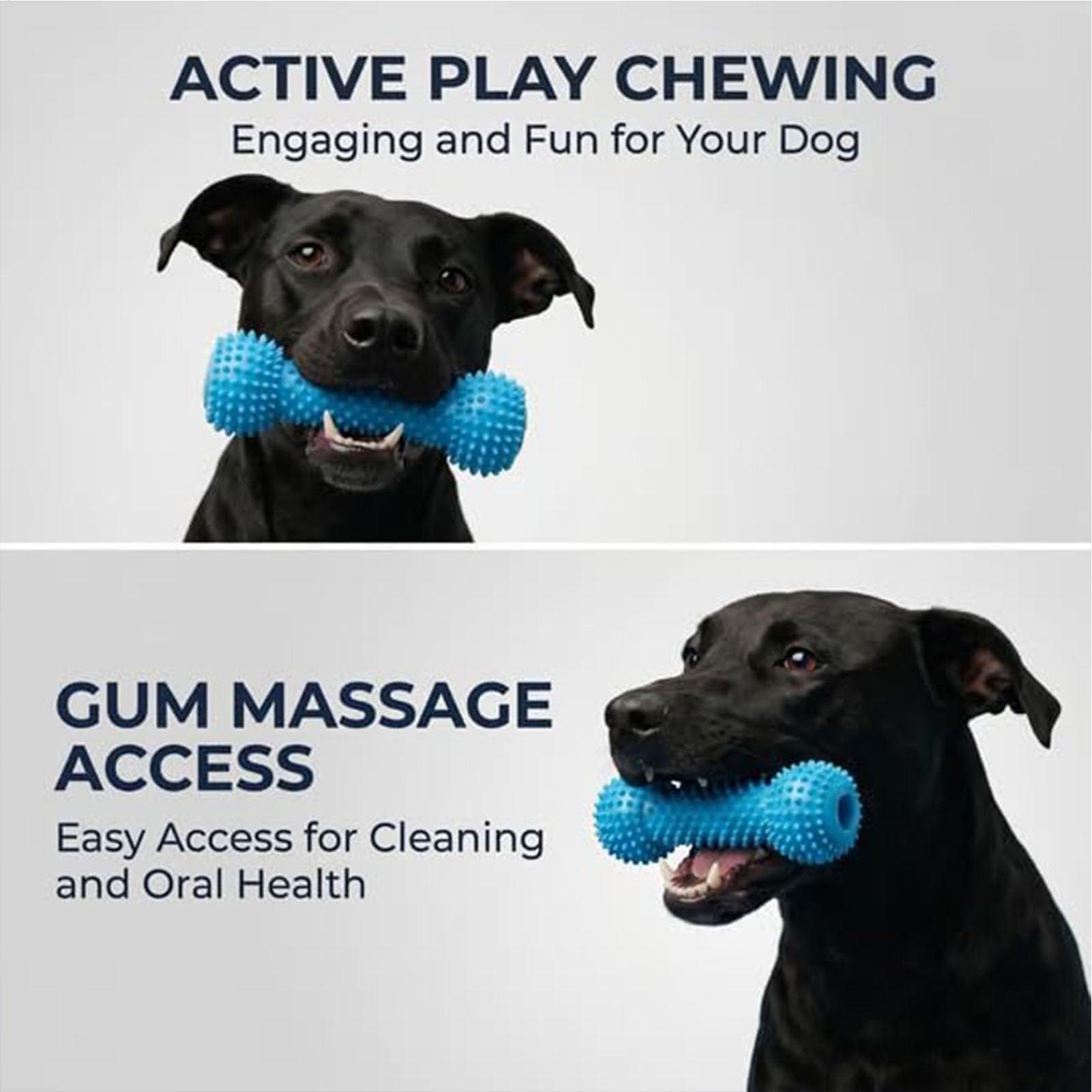 Brinquedos para escovar os den - Rubber Treat Dispensing Dog Toy avaliação e preço