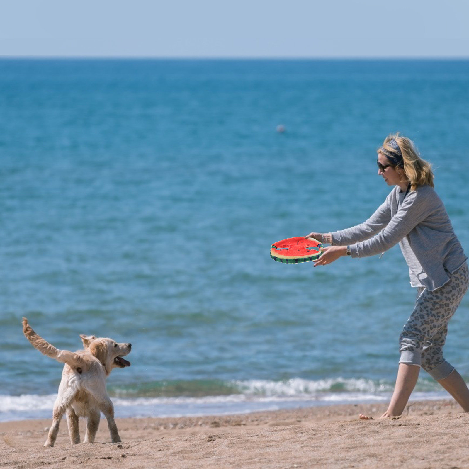 Disco voador para cães, com de - Flying Disc Dog Training Toy avaliação e preço